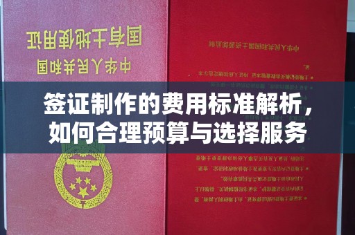 阿尔山签证制作的费用标准解析，如何合理预算与选择服务